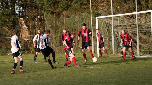 升班马球队 升班马球队