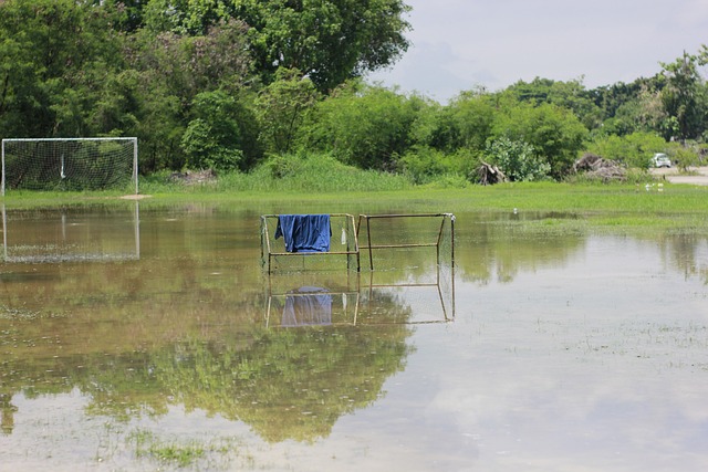 查尔默斯 查尔默斯