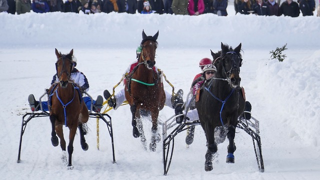 如曼聯的加 如曼聯的加