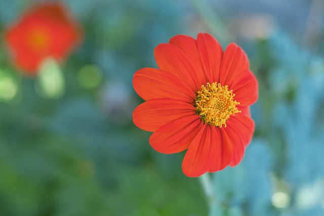 也为我们展 也为我们展