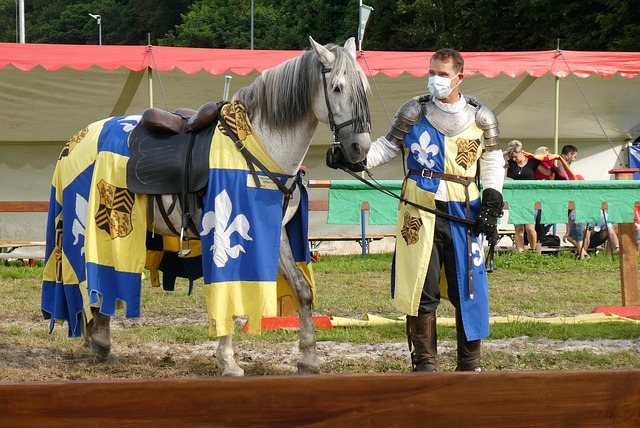 味龟缩防守 味龟缩防守