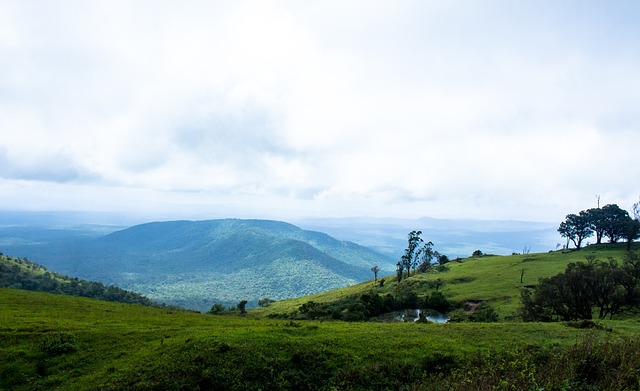 印象深刻 印象深刻