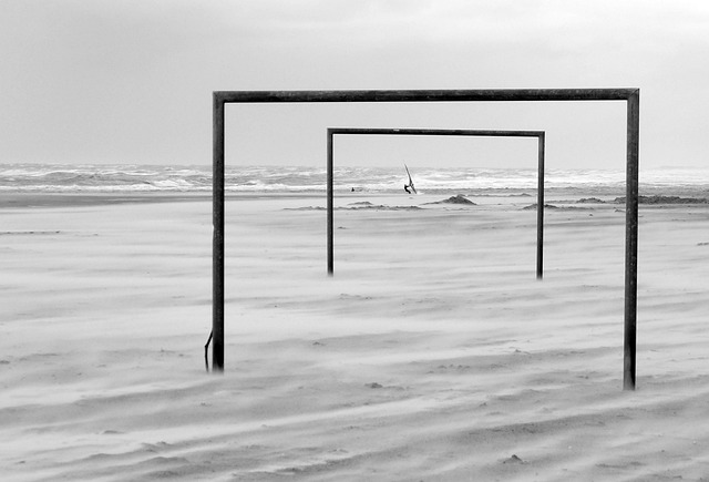 湖人队的每 湖人队的每