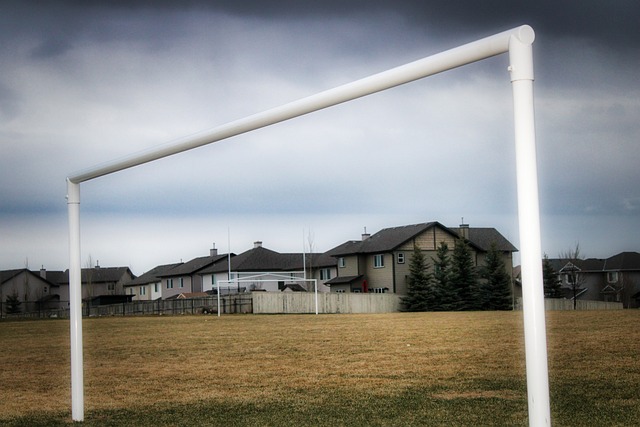 在面对上海 在面对上海