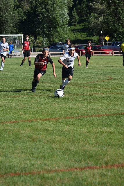 育世界中 育世界中