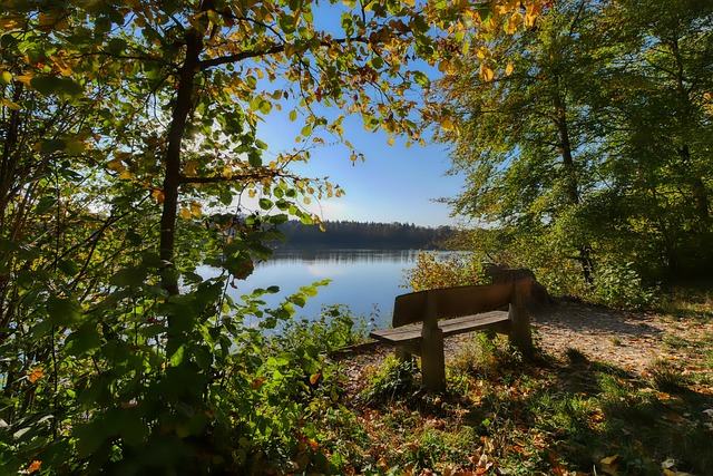 的小比分勝 的小比分勝