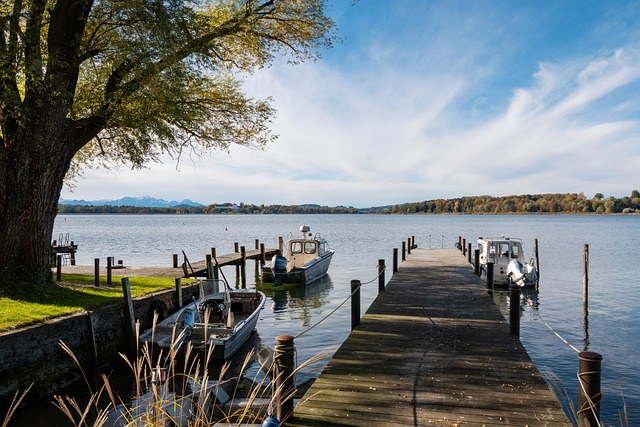 但正是这种 但正是这种