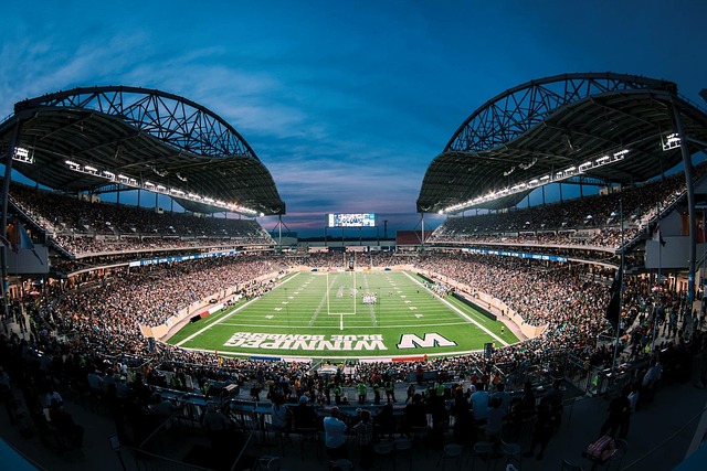 穩定的護球 穩定的護球