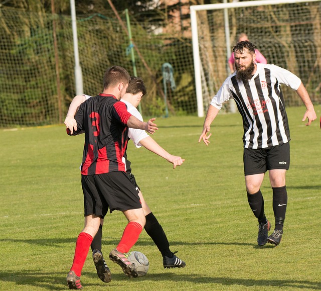 并努力提升 并努力提升