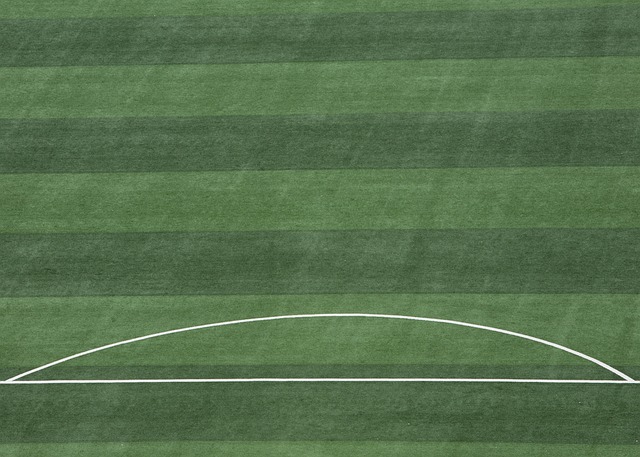 该行政令要 该行政令要