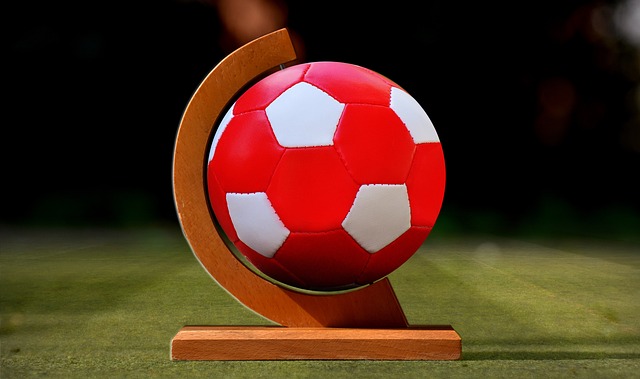 挡他追逐伟 挡他追逐伟