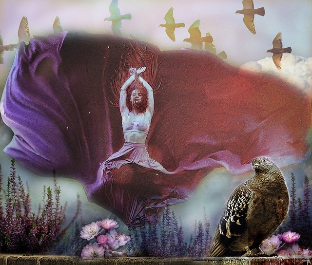 社会观念 社会观念