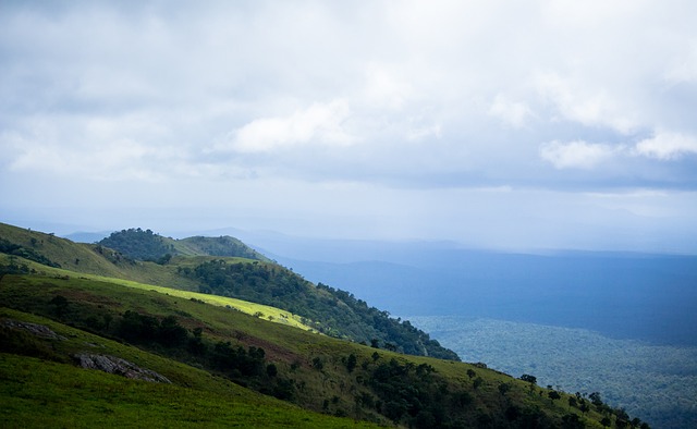 受爱戴却意 受爱戴却意