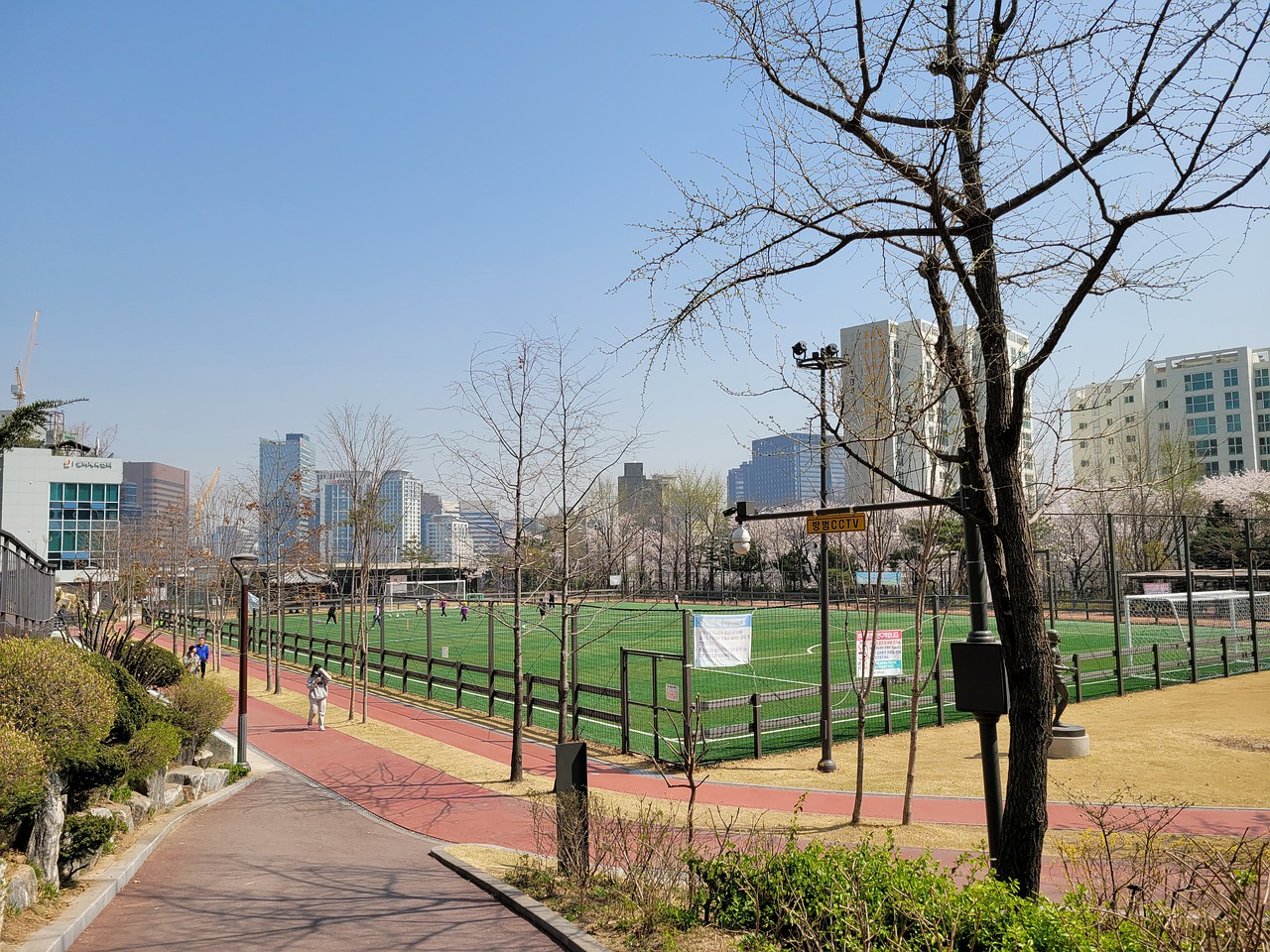 成为世界舞 成为世界舞