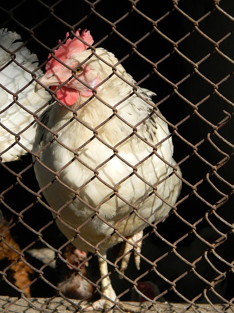 希望能在这 希望能在这