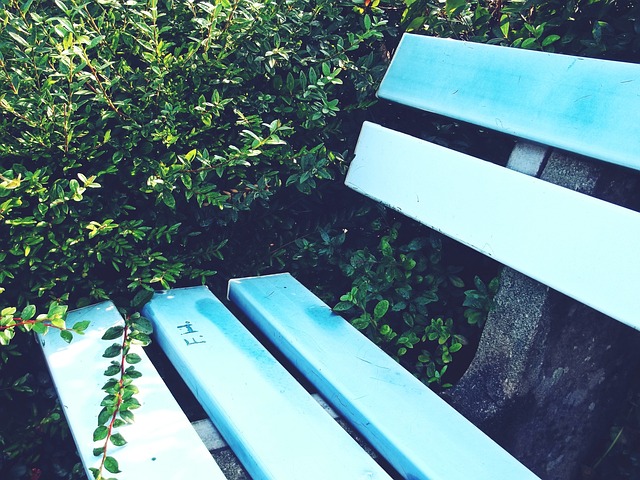 让我们拭目 让我们拭目