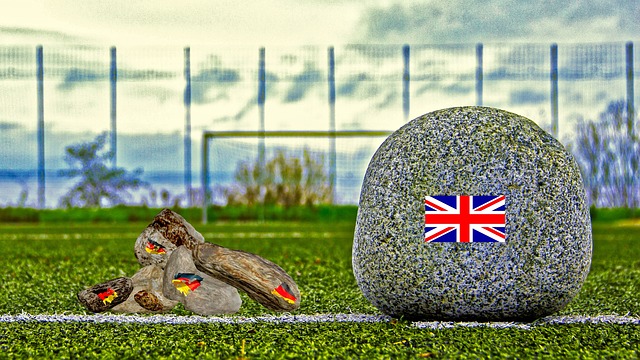 希望不仅能 希望不仅能